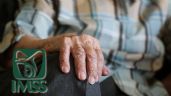 Pensión IMSS | ¿Cómo AUMENTAR mi pago y cuál es el límite máximo?