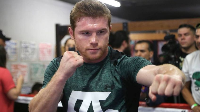 ¿A quién apoya Canelo Álvarez en la pelea de Gervonta Davis vs Ryan García?