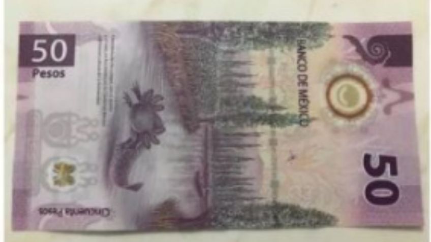 ¿Cómo reconocer el billete de 50 pesos por el que pagan hasta 450 mil?