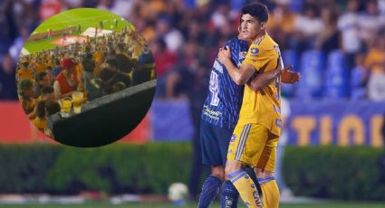 ¿No saben perder? Aficionado de Tigres golpea a seguidor del América tras derrota (VIDEO)