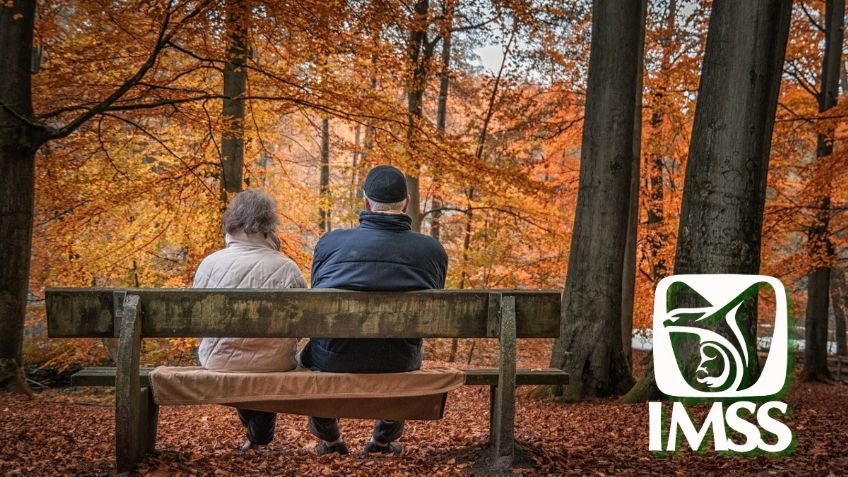 ¿Quiénes no pueden HEREDAR la Pensión IMSS por viudez?