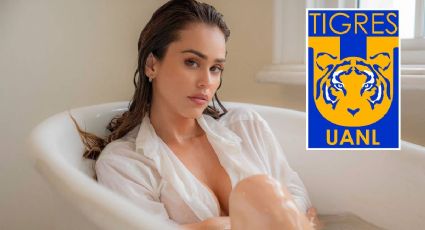 5 FOTOS de Yanet García, la deslumbrante conductora y aficionada de Tigres