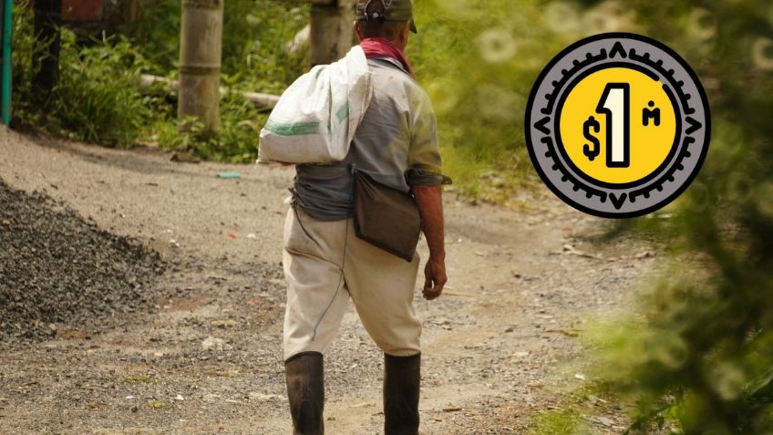 Sembrando Vida 2023: este es el CALENDARIO de pagos para recibir el apoyo de 6,000 pesos