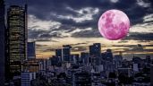Luna rosa de abril 2023: ¿cuándo es y a qué hora se podrá ver en México?