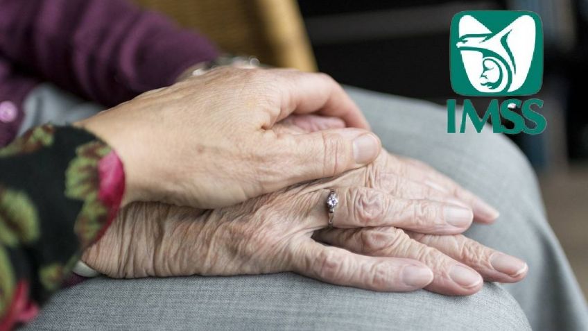 ¿Por qué no se tiene derecho al pago de utilidades en la Pensión IMSS?