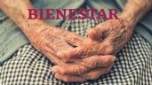Pensión Bienestar | ¿Quiénes deberán esperar hasta el 7 de junio para recibir la NUEVA tarjeta?