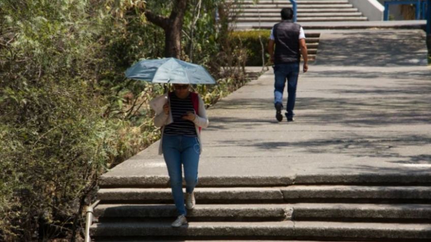 Calor en México: Estados que tendrán temperaturas de 35 a 40 grados hoy miércoles 12 de abril
