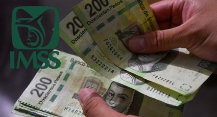 ¿Por qué se ha RETRASADO el pago de la Pensión IMSS 2023 a un grupo de jubilados?