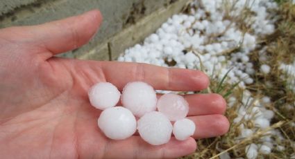 Frente Frío 49 | Los ESTADOS que tendrán posible caída de GRANIZO hoy domingo 16 de abril