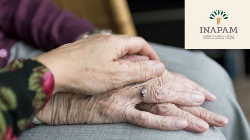 ¿Cuáles son todas las tarjetas vigentes del INAPAM y qué nuevos descuentos hay en CDMX?