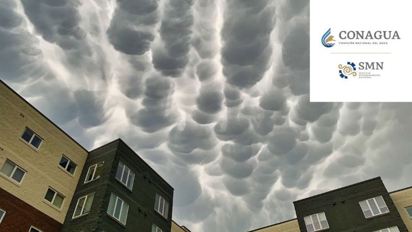 ¿Cuándo llega el Frente Frío 51 a México y qué estados tendrán lluvias con TORBELLINOS?