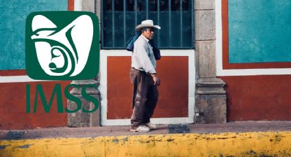 Pensión IMSS: Así puedes tramitar tu JUBILACIÓN en LÍNEA paso a paso | Requisitos