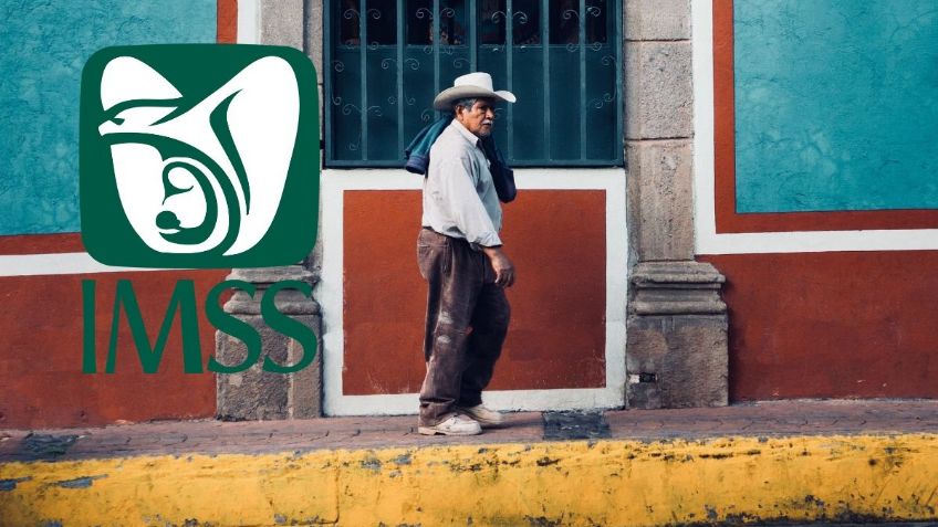 Pensión IMSS: Así puedes tramitar tu JUBILACIÓN en LÍNEA paso a paso | Requisitos