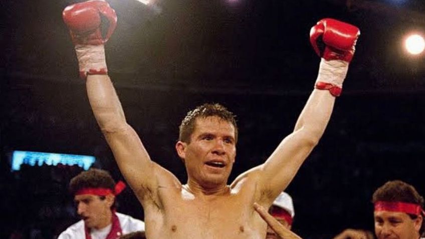 Julio César Chávez y los cinco mejores peleadores invictos que aplastó (VIDEOS)