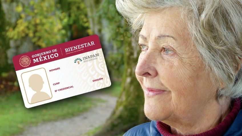 Credencial INAPAM: ¿cómo mantener los DESCUENTOS si desaparece la tarjeta?