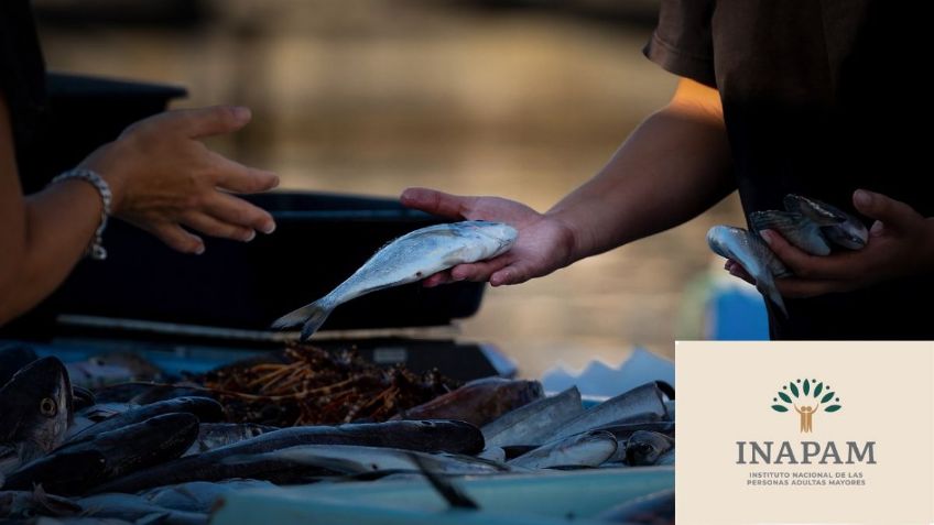 INAPAM: estos son los establecimientos que tienen nuevos DESCUENTOS en comida