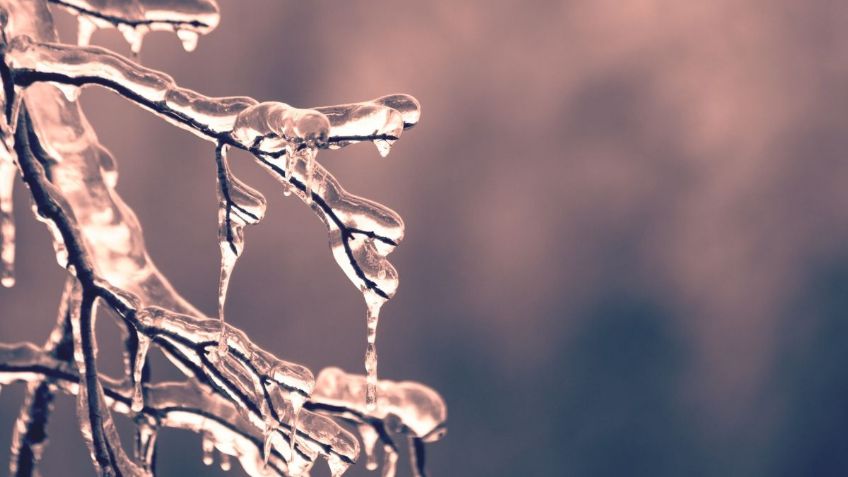 ¿Qué estados tendrán lluvias y temperaturas de CERO grados HOY 24 de mayo?