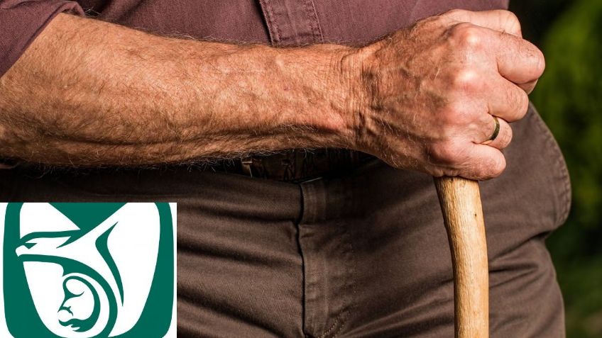Pensión IMSS: Lista de jubilados que recibirán un PAGO DOBLE hasta el 2028