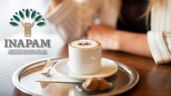Credencial INAPAM | Restaurantes, cafeterías y negocios que otorgan hasta 50% de descuento