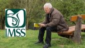 Pensión IMSS: checa la lista de servicios adicionales para pensionados y jubilados