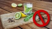 5 repelentes caseros para evitar que te piquen los mosquitos durante la temporada de calor