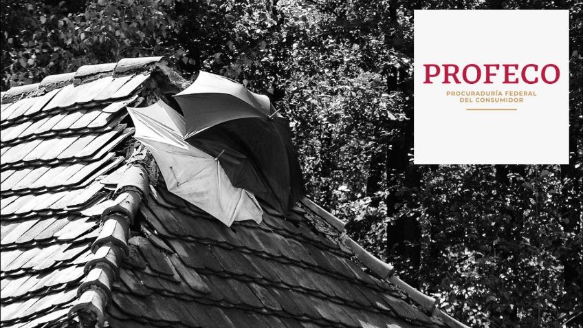 Profeco revela los mejores impermeabilizantes para proteger tu hogar ante las lluvias