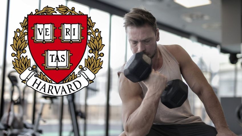 Los 5 EJERCICIOS recomendados por la Universidad de Harvard para BAJAR de PESO