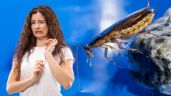 ¿Por qué salen cucarachas chiquitas en casa? | 10 consejos de expertos para eliminarlas