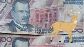 Checa la colección de billetes mexicanos con un venado que se vende por 57 mil pesos