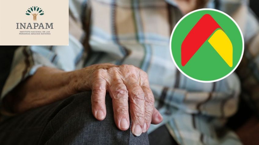 INAPAM | ¿De cuánto es el DESCUENTO en Bodega Aurrera con credencial vigente?