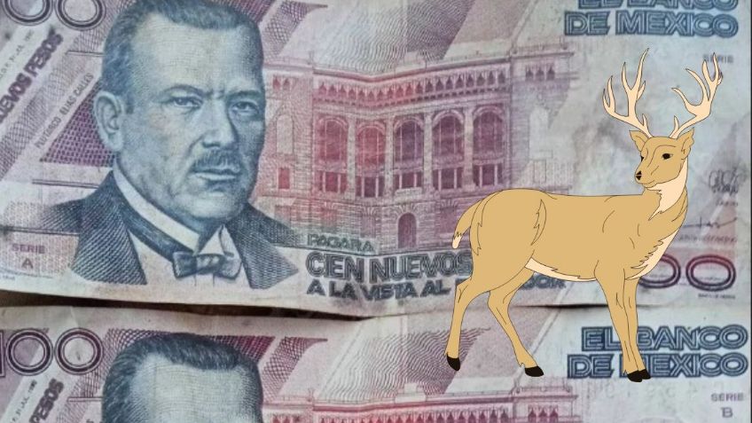 Checa la colección de billetes mexicanos con un venado que se vende por 57 mil pesos