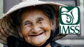 Pensión IMSS: 6 requisitos que debes cumplir para tener un retiro de 50 MIL pesos mensuales