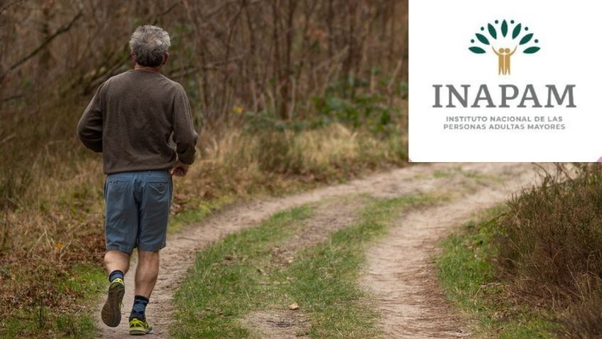 INAPAM: checa la lista de tiendas de DEPORTES que dan descuentos con credencial vigente