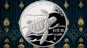 La tortuga golfina y su moneda de PLATA por la que dan casi 10,000 pesos | Características