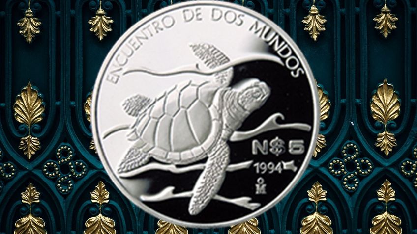 La tortuga golfina y su moneda de PLATA por la que dan casi 10,000 pesos | Características