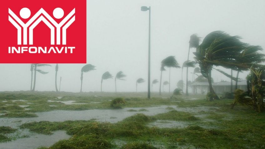 Casas Infonavit: ¿Cómo utilizar el seguro de daños ante huracanes y lluvias? | Requisitos