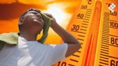 Calor extremo: SMN revela el estado que tendrá más de 45 grados el domingo 2 de julio