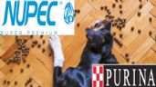 Nupec vs Purina: cuáles es mejor marca de croquetas para perro según la Profeco
