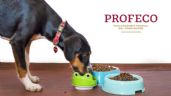 5 marcas de croquetas para perro que mienten en el contenido nutrimental según la Profeco