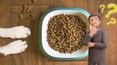 Estas son las 3 marcas premium de croquetas para perro con más proteína según la Profeco