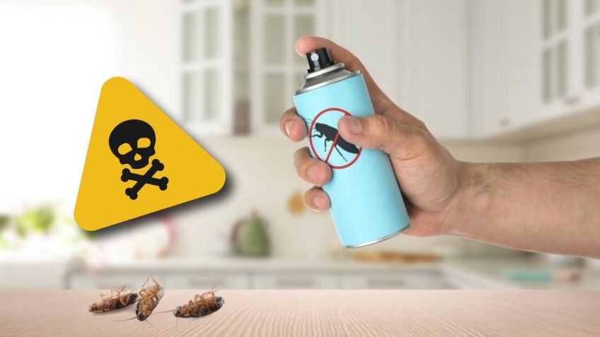 ¿Cucarachas en la cocina? Estos son los 6 PELIGROS de rociar insecticida en el hogar