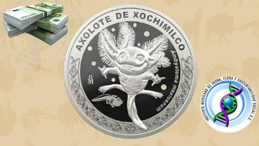 Monedas Conmemorativas del Zoológico de Chapultepec: ¿Cuánto cuestan y cuáles son sus 7 diseños?