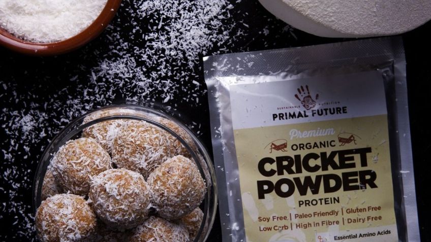 ¿Cual es el mejor SUPLEMENTO al momento de entrenar y por qué?