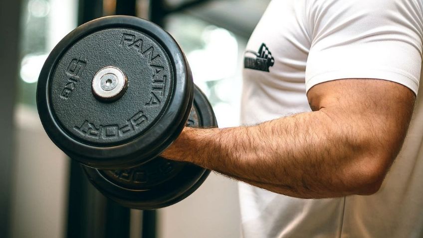Este es el mejor ejercicio para que tus bíceps crezcan según la Universidad de Harvard
