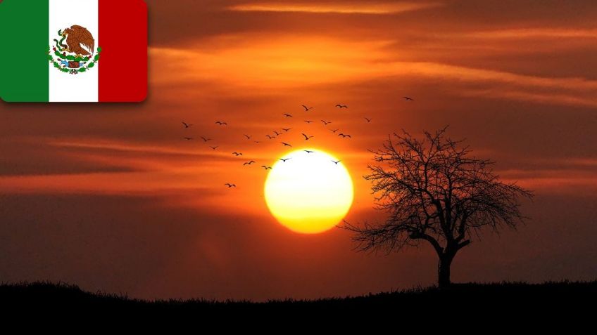 ¿Nueva ola de calor? Estados que tendrán más de 45 GRADOS del 14 al 18 de julio | SMN