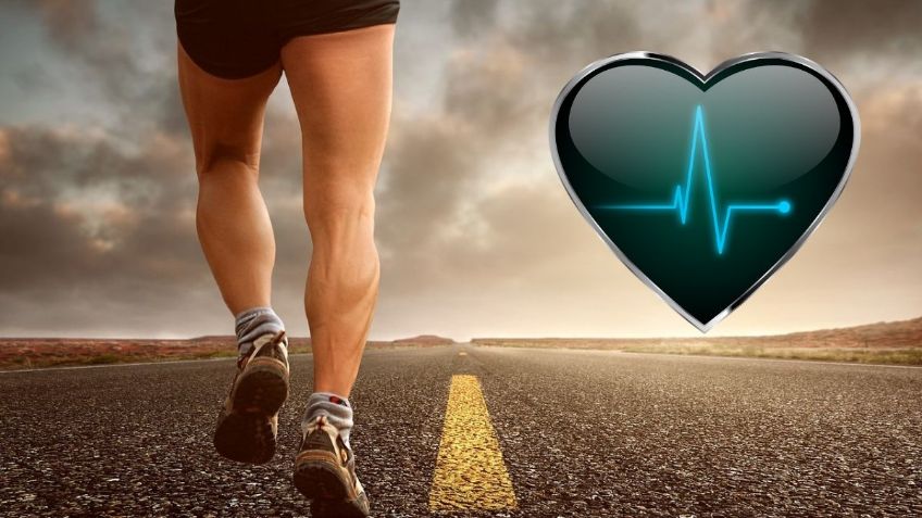 Los mejores ejercicios de cardio para mantenerse en forma ¿Cuánto tiempo se deben hacer?