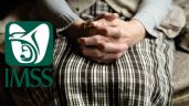 INAPAM: ¿El IMSS da descuento a adultos mayores con credencial vigente? Esto se sabe