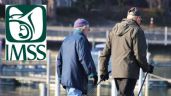 Pensión IMSS: Confirman el DÍA en que se realiza el PAGO en JULIO del 2023