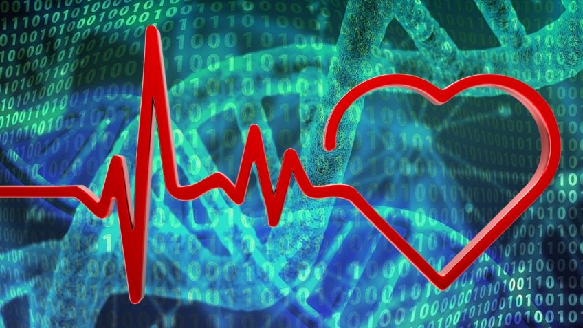 Esta proteína rejuvenece el cerebro y reactiva la memoria, según estudio de Nature Aging