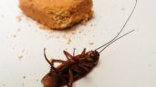 El mejor truco para eliminar a las cucarachas con vinagre de manzana